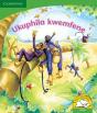 Ukuphila Kwemfene (Isizulu) - Preview