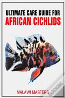 Ultimate Care Guide For African Cichlids