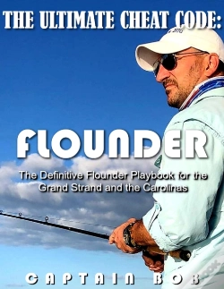 Capa do artigo Ultimate Cheat Code: Flounder