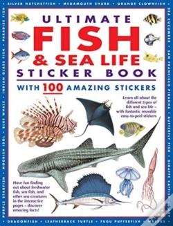 Capa do artigo Ultimate Fish & Sea Life Sticker Book