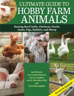 Capa do artigo Ultimate Guide To Hobby Farm Animals
