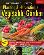 Capa do artigo Ultimate Guide To Planting & Growing Vegetables At Home