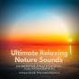 Ultimate Relaxing Nature Sounds For Meditation, Stress Relief, Study, Yoga, Focus & Deep Sleep - Preview