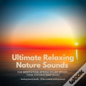 Capa do artigo Ultimate Relaxing Nature Sounds For Meditation, Stress Relief, Study, Yoga, Focus & Deep Sleep