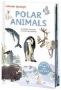 Ultimate Spotlight: Polar Animals - Preview