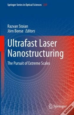 Capa do artigo Ultrafast Laser Nanostructuring