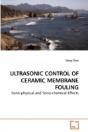 Ultrasonic Control Of Ceramic Membrane F - Preview