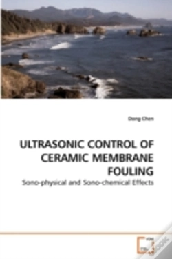 Capa do artigo Ultrasonic Control Of Ceramic Membrane F