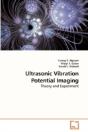 Ultrasonic Vibration Potential Imaging - Preview