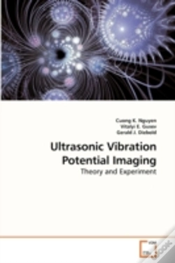 Capa do artigo Ultrasonic Vibration Potential Imaging