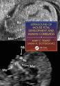 Ultrasound Of Mouse Fetal Development And Human Correlates - Preview