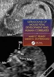 Capa do artigo Ultrasound Of Mouse Fetal Development And Human Correlates