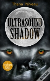 Ultrasound Shadow