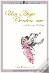 Um Anjo Contou-me a Vida no Além