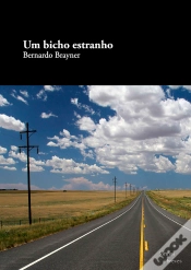Capa do artigo Um Bicho Estranho