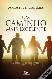 Capa do artigo Um Caminho Mais Excelente