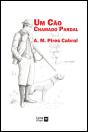 Um Cão Chamado Pardal - Preview