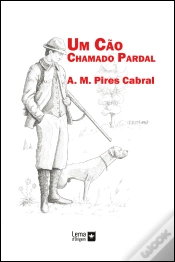 Capa do artigo Um Cão Chamado Pardal