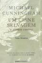 Um Cisne Selvagem e Outros Contos - Preview