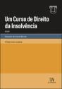 Um Curso de Direito da Insolvência - Volume I - Preview