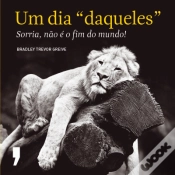 Capa do artigo Um Dia «Daqueles»