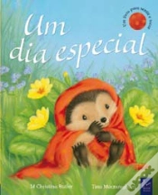 Capa do artigo Um Dia Especial