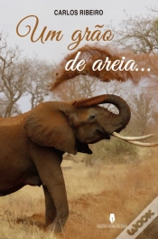Capa do artigo Um Grão de Areia...