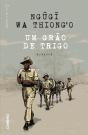 Um Grão de Trigo - Preview