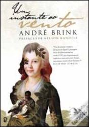 Capa do artigo Um Instante ao Vento