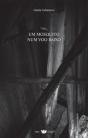 Um Mosquito Num Voo Baixo - Preview