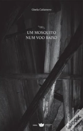 Um Mosquito Num Voo Baixo