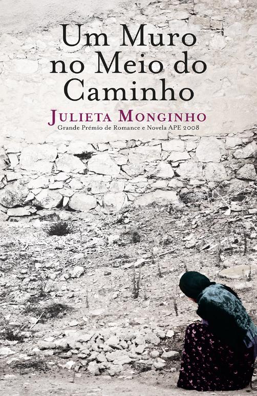 UM MURO NO MEIO DO CAMINHO