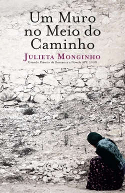 Capa do artigo Um Muro no Meio do Caminho