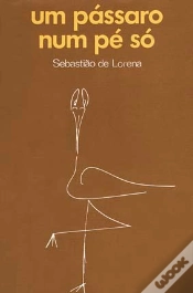 Capa do artigo Um Pássaro Num Pé Só