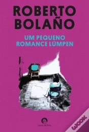 Capa do artigo Um Pequeno Romance Lúmpen