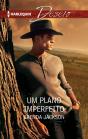 Um Plano Imperfeito - Preview