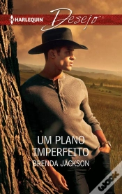 Capa do artigo Um Plano Imperfeito