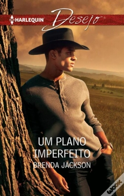 Capa do artigo Um Plano Imperfeito