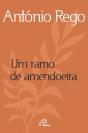 Um Ramo de Amendoeira - Preview