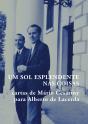 Um Sol Esplendente nas Coisas - Preview