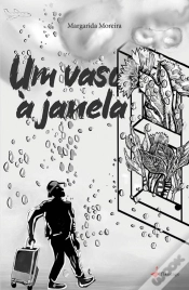 Capa do artigo Um Vaso à Janela 