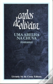Capa do artigo Uma Abelha na Chuva