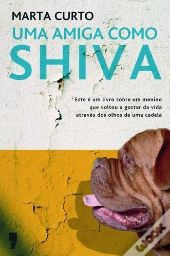 Uma Amiga Como Shiva