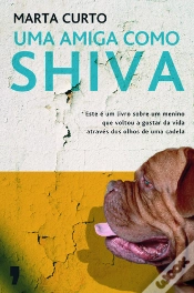 Capa do artigo Uma Amiga Como Shiva