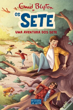 Capa do artigo Uma Aventura dos Sete 