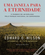 Capa do artigo Uma Janela para a Eternidade
