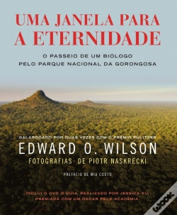 Capa do artigo Uma Janela para a Eternidade