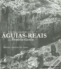 Uma Longa Caminhada com as Águias-Reais da Peneda-Gerês