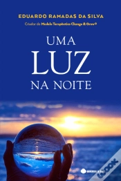 Capa do artigo Uma Luz na Noite