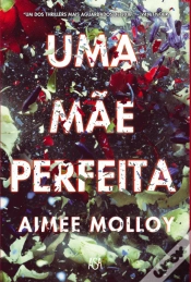 Capa do artigo Uma Mãe Perfeita